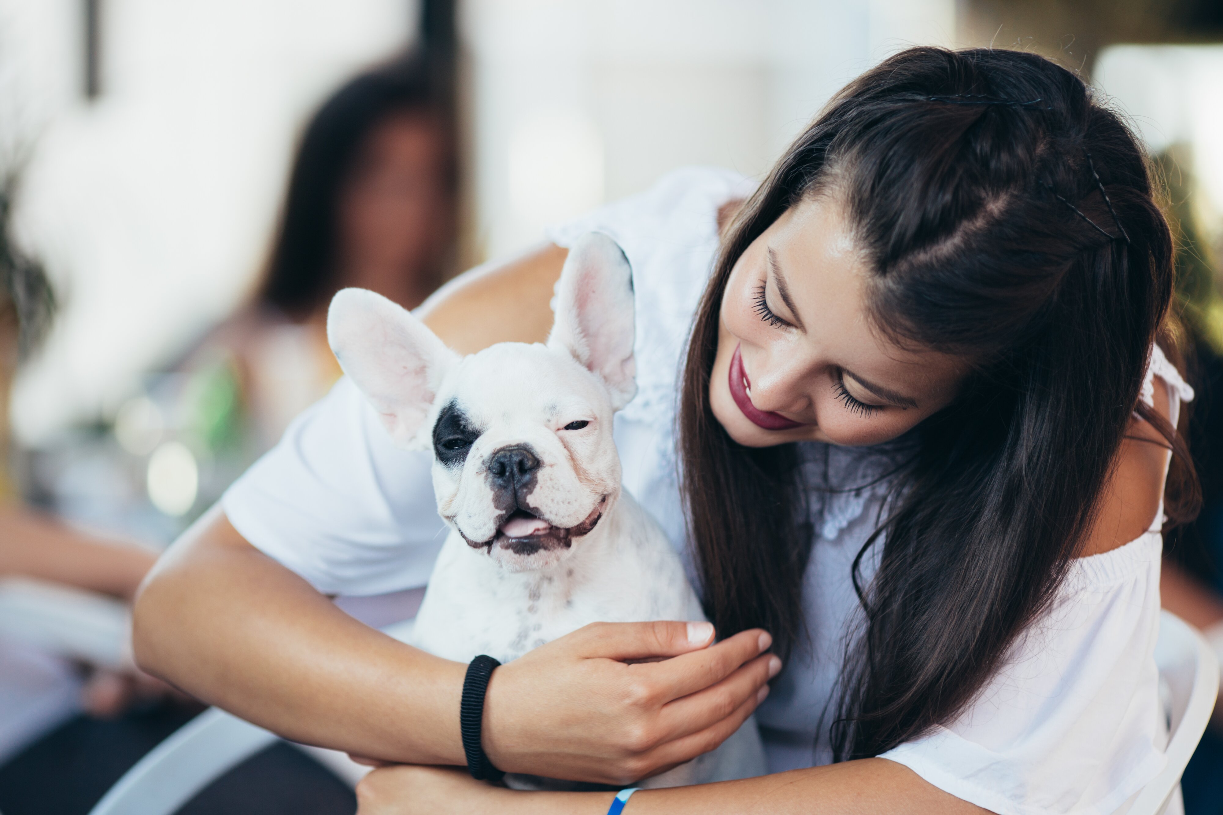 how-to-properly-socialize-your-puppy-puppy-buddy